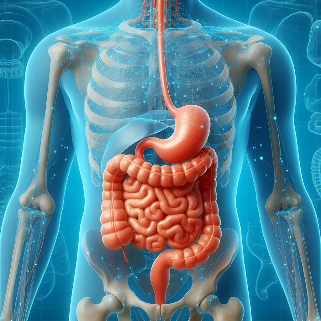 Gut Health